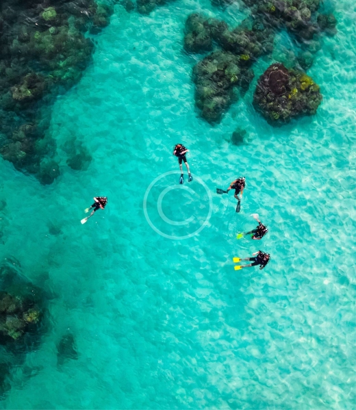 trail-img-18-2-copyright